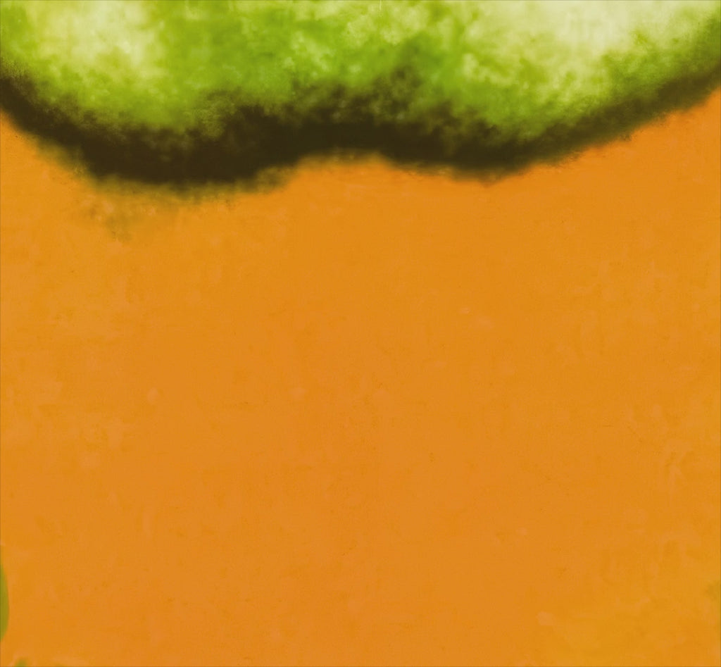 George Harrison by Richard Avedon shown in full before smoothly zooming into a 100% close-up to demonstrate the exceptional print quality, colour accuracy and archival detail.