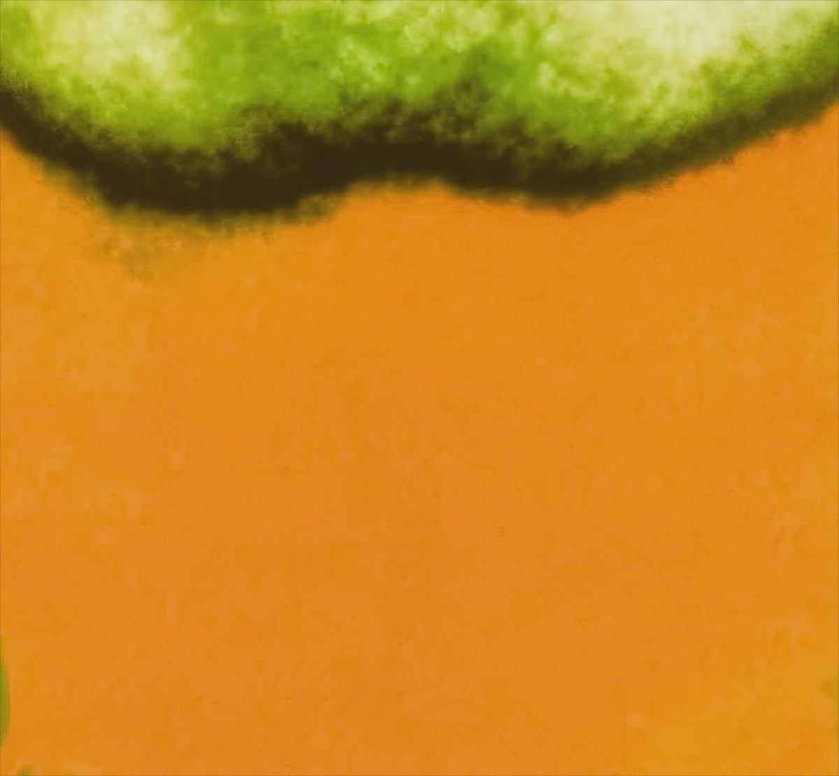 George Harrison by Richard Avedon shown in full before smoothly zooming into a 100% close-up to demonstrate the exceptional print quality, colour accuracy and archival detail.