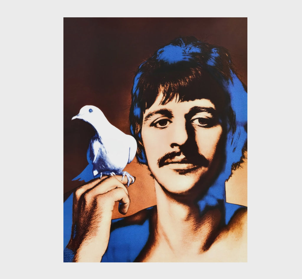 Museum-quality Richard Avedon Ringo Starr poster shown in full before smoothly zooming into a 100% close-up to showcase the exceptional print quality, colour accuracy, and fine archival detail.

